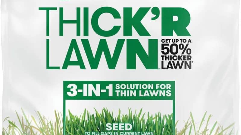 Scotts Turf Builder THICK’R LAWN Grass Seed: The Ultimate Solution for a Thicker, Greener Lawn