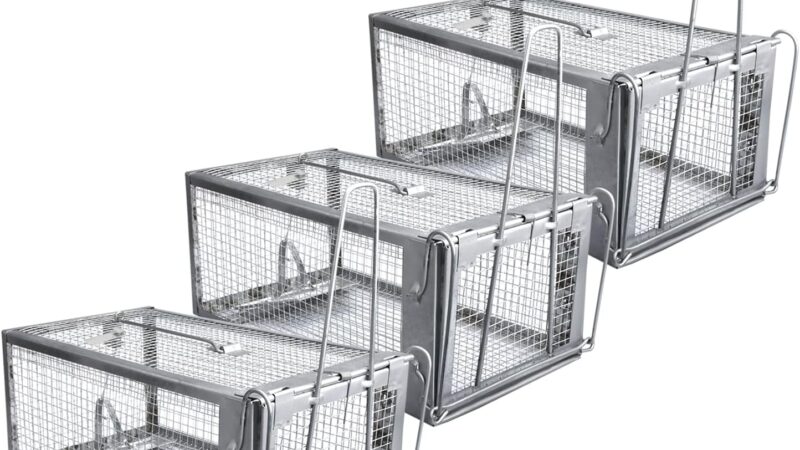 Gingbau 3-Pack Humane Rat Traps Live Chipmunk Mouse Trap Cages Review