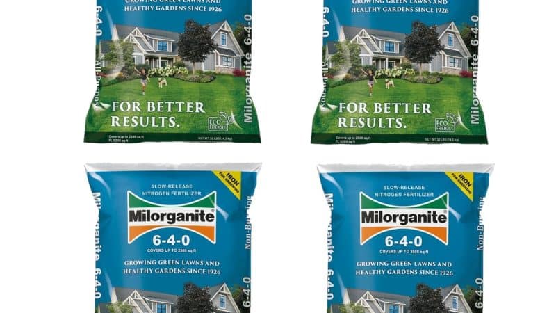 Milorganite Slow Release Nitrogen Lawn Fertilizer 6-4-0: The Garden Game-Changer