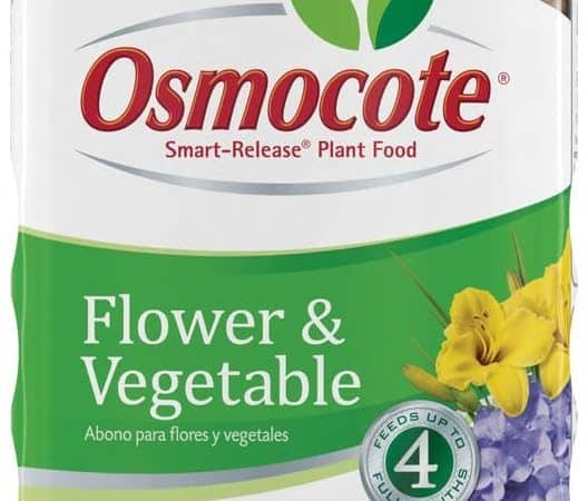 Osmocote Smart-Release Plant Food Flower & Vegetable: A Review
