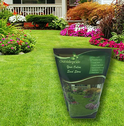 Outsidepride Showtime Ryegrass, Kentucky Bluegrass, Fine Fescue Lawn Grass Seed Mixture - The Perfect Choice for a Beautiful Outdoor Space