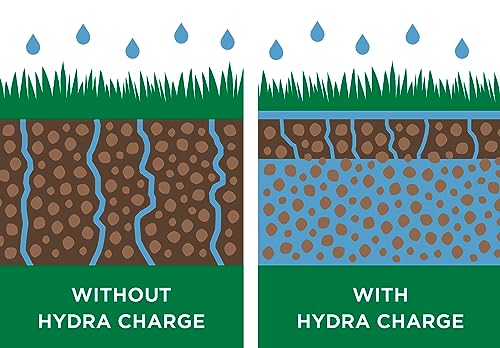 The Andersons Professional Hydra Charge™ Biosolid Fertilizer Plus Surfactant 4-2-0 (18 lb.) - The Ultimate Solution for a Lush, Drought-Resistant Lawn