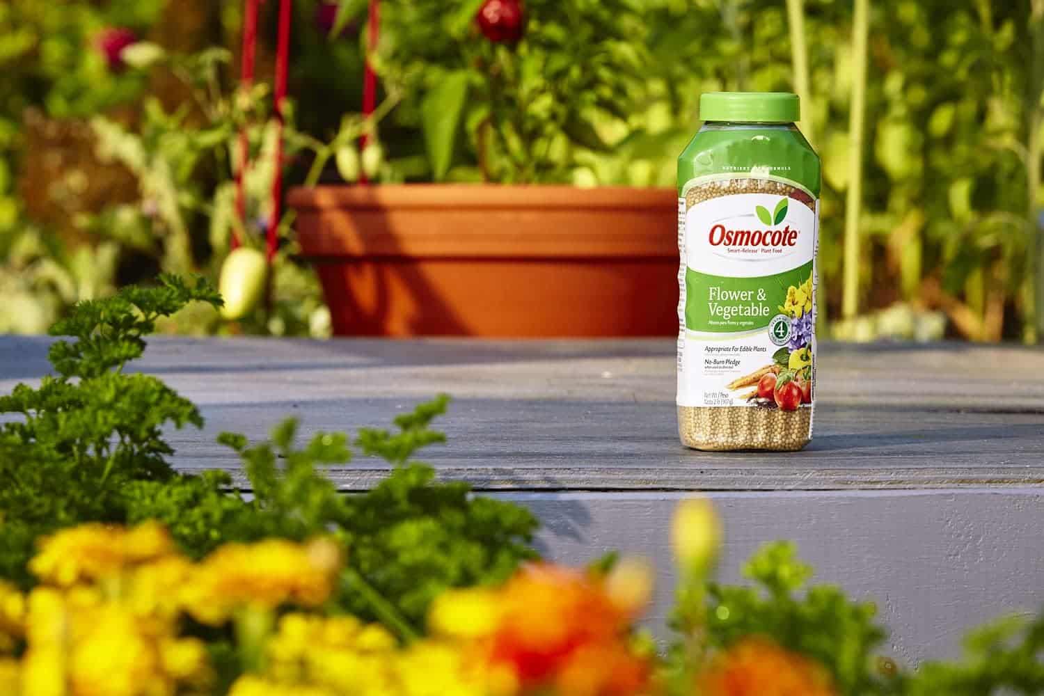 Osmocote Smart-Release Plant Food Flower & Vegetable: A Review
