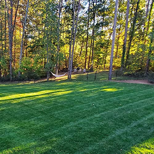 Outsidepride Midnight Kentucky Bluegrass: The Perfect Choice for a Beautiful and Durable Lawn